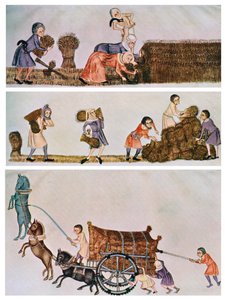 刈り取り、持ち運び、運搬、c1300-1340、c1900-1920 作： Unbekannt