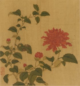 赤牡丹、清王朝、18 世紀。 作： Unbekannt