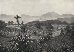 1926年に係留されたテラセンのトラベルフィールド 作： Unbekannt