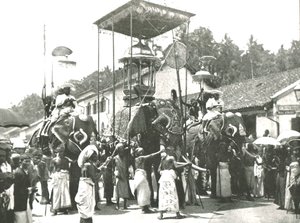 宗教的な行列、コロンボ、セイロン、1895年。 作： Unbekannt