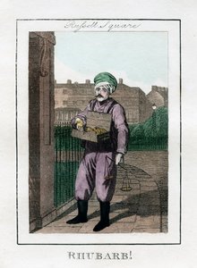 ルバーブ、ラッセルスクエア、ロンドン、1805 作： Unbekannt