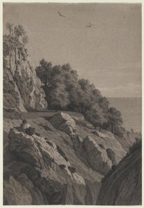 海岸の岩の崖、c。 1850-1860。 作： Unbekannt