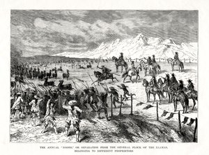 ロデオ、南アメリカ、1877 作： Unbekannt
