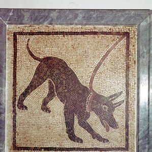 犬のローマ時代のモザイク、カネム洞窟、ポンペイ、イタリア 作： Unbekannt