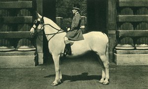 1950年代のスカーレットリバリーのロイヤルアウトライダー。 作： Unbekannt