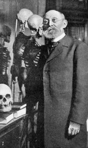 ルドルフ・ヴィルコウ、ドイツの病理学者、1902 作： Unbekannt