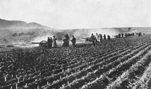 キビ畑のロシア野戦砲、日露戦争、1904-5 作： Unbekannt