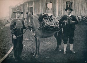パック馬とセータースダーレンハイランダーズ、1914年。
