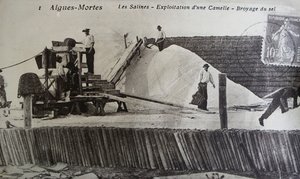 フランス、カマルグ、エグ・モルト、プロヴァンスの塩田（モノクロ写真