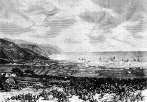 サンタクルス、テネリフェ島、スペイン、1895 作： Unbekannt