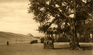 サッカラ-Sycomore、c1918-c1939から見た階段ピラミッド。 作： Unbekannt