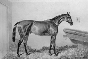 ソースボックス、c1840-1880、1911 作： Unbekannt