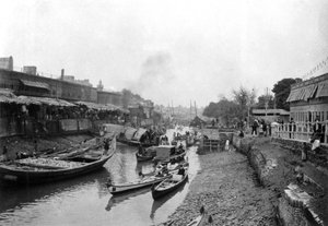 1917〜1919年、ホワイトリーブリッジ、アシャール、イラクのシーン