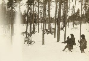 スウェーデン。トナカイを捕まえるときのぼろきれ（種）。 1900年頃 作： Unbekannt