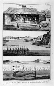 海釣り、ニシン、イワシ、1751-1777