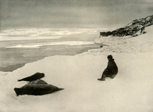 Ice-Edgeのシール、c1908、1909 作： Unbekannt