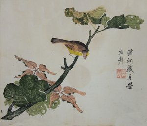 Seeds and Aleurites Cordata : マスタード シード ガーデン マニュアルのページ、1782 年、第 2 版。