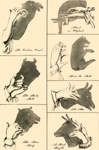 影の写真とシルエット、1883年。