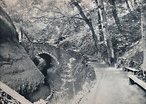 シャンクリン-ザチャイン、1895 作： Unbekannt