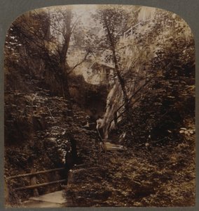 世界的に有名なシャンクリン・チャイン、イギリス、ワイト島、c1910。 作： Unbekannt