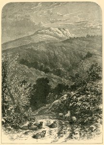 シープスター、1898年。