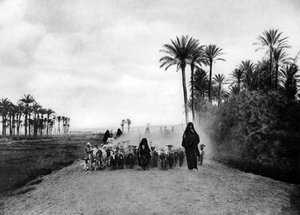 カイロ、エジプト、c1920の近くの羊飼いの羊 作： Unbekannt