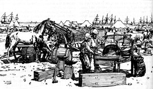 ニューサウスウェールズ大砲のシューイングフォージ、スアキム、1885年、1902年 作： Unbekannt