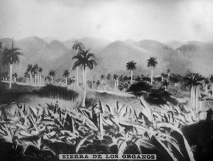 シエラデロスオルガノス、1896年、1920年代 作： Unbekannt