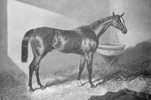 タットン・サイクス卿、1842年-1860年、1911年 作： Unbekannt