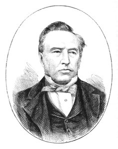 Theophilus Shepstone卿、c1880 作： Unbekannt