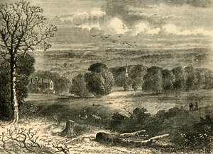 1852年のクリスタルパレスのサイト、c1878。