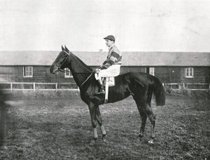 スカイスクレイパー、1911年。