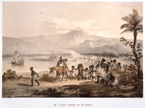 1852年3月の奴隷輸送船団 作： Unbekannt
