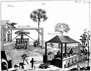 西インド諸島における砂糖プランテーションの奴隷労働、1725年 作： Unbekannt