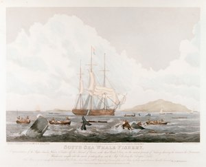 南海クジラ漁業、1825 作： Unbekannt