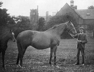セントマルグリット、イギリスの競走馬、1895年1938年 作： Unbekannt