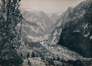 1914年、スタルハイムとネロダル。
