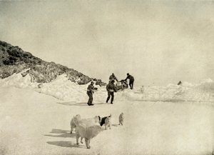 ケープロイズ、1908年、1909年からの西部党の始まり。 作： Unbekannt