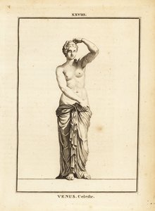 ローマ神話の愛と美と性と豊穣の女神、ヴィーナス・セレステの彫像 作： Unbekannt