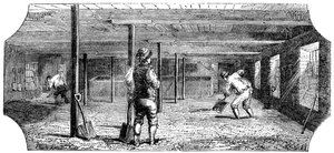 モルトを浸し、カウチング、フローリング、1886 作： Unbekannt
