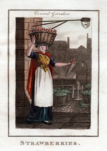 イチゴ、コヴェントガーデン、ロンドン、1805