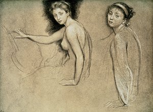 研究、1895 作： Unbekannt