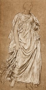 ダフネフォリアの研究、c1874-1876 c1880-1882 作： Unbekannt