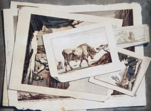 図面と版画の研究 作： Unbekannt