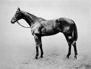 スウィンフォード、1907-1928、1911 作： Unbekannt