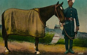 Syce、c1910 作： Unbekannt