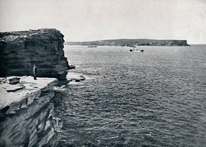 シドニーヘッズ、ワトソンズベイのギャップ、c1900。 作： Unbekannt