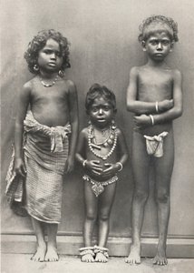 Tamulenkinder、1926 作： Unbekannt