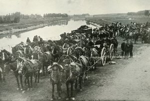 川の戦い、1919年。 作： Unbekannt