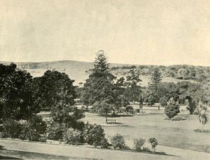 シドニー植物園、1901年。 作： Unbekannt